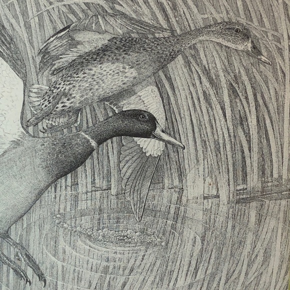 Charles Beckendorf Framed Print - Ducks in Flight - Picture 4 of 7